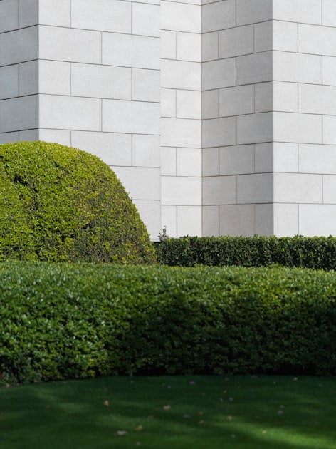 The Importance of Regular Mowing