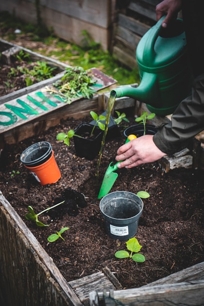 Best Practices for Grass Care